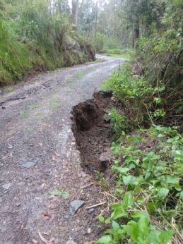 472999321_1142649230828530_169838371961717725_n