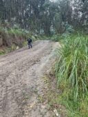 571577195_1237573618396996_4603524399028809618_n