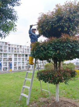 573889926_1240642548090103_272182515286485964_n