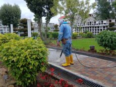 574327135_1240643208090037_4053343123708016033_n