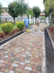 574606023_1240643451423346_7407982669766021268_n